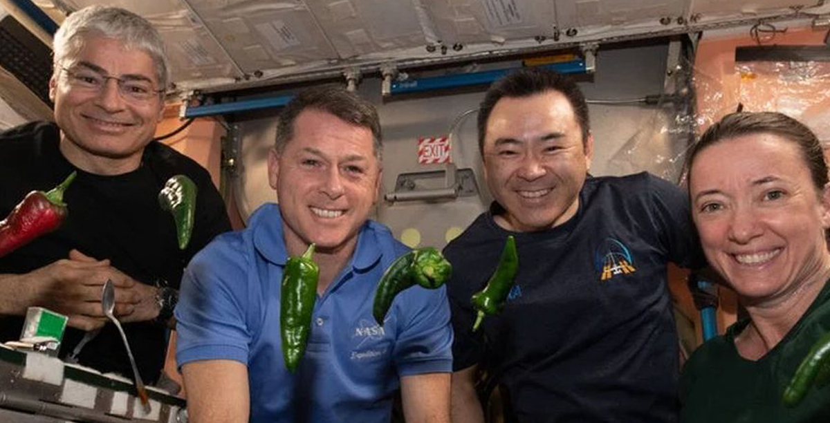 Technology to Grow Chili in Space Sets Two World Records Tech / inStory.cz