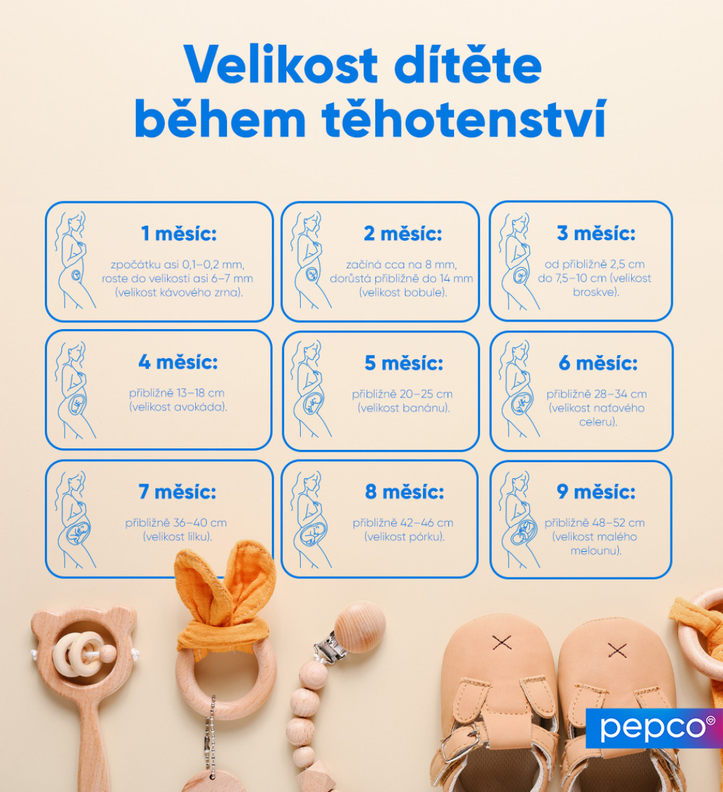 Infografika společnosti Pepco o velikosti dítěte v jednotlivých měsících těhotenství